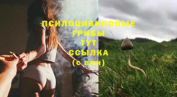 тгк Алзамай