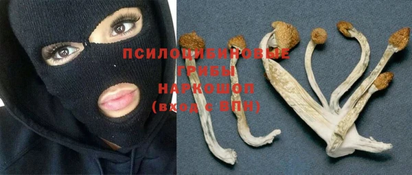 тгк Алзамай