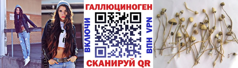 Псилоцибиновые грибы Cubensis  гидра ТОР  Карабаш 